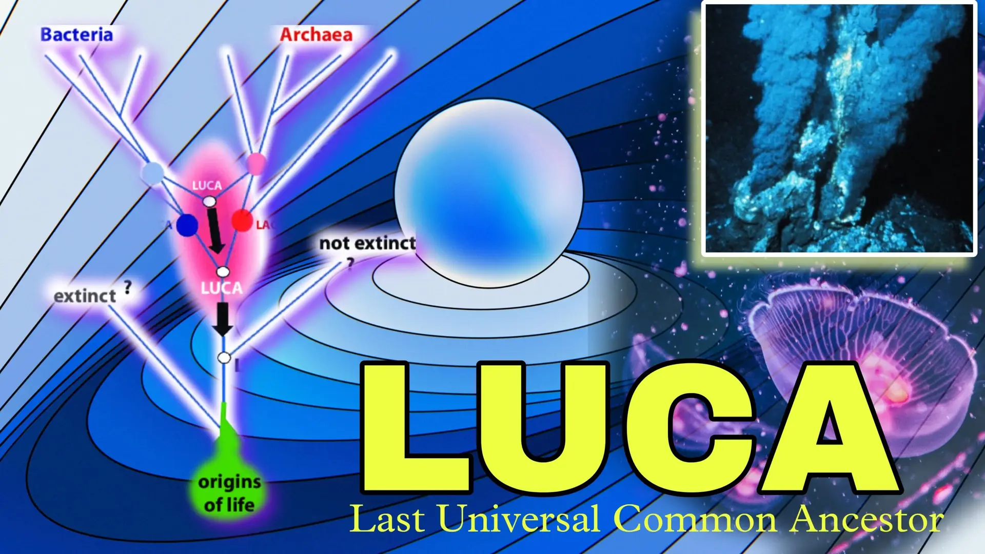 All life originated from LUCA
