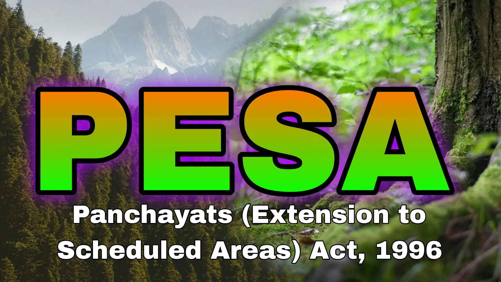 The Impact of PESA on Forest Conservation in India